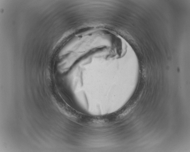 X0000071780256200607282245