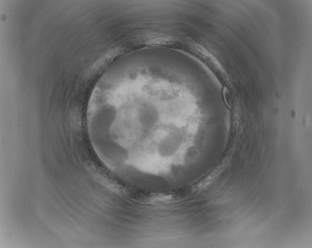 X0000071780257200607282245