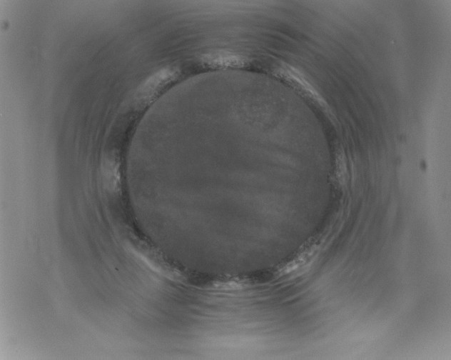 X0000071780259200607282245