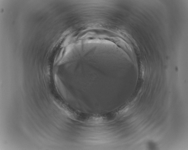 X0000071780260200607282245