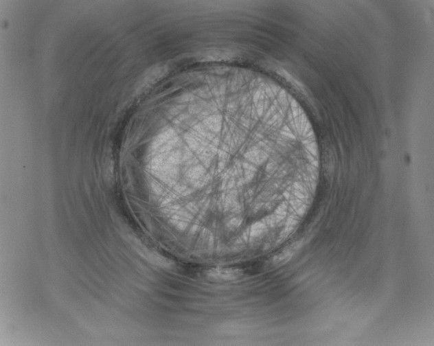 X0000071780261200607282245