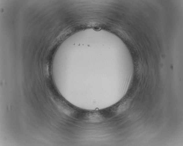 X0000071780262200607282245