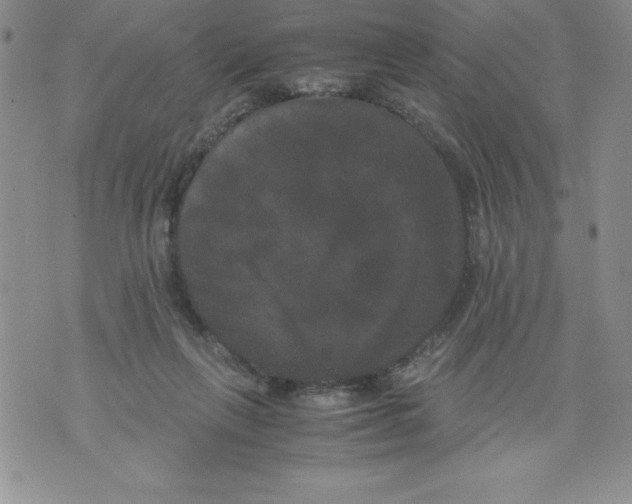 X0000071780263200607282245