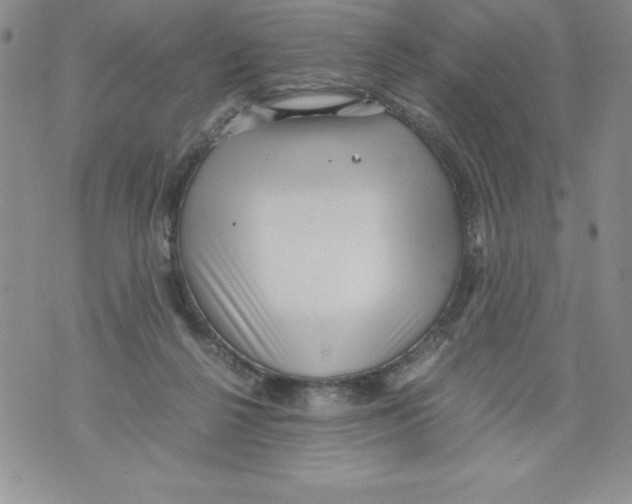 X0000071780264200607282245