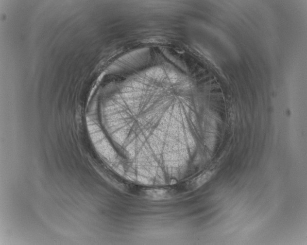 X0000071780265200607282245