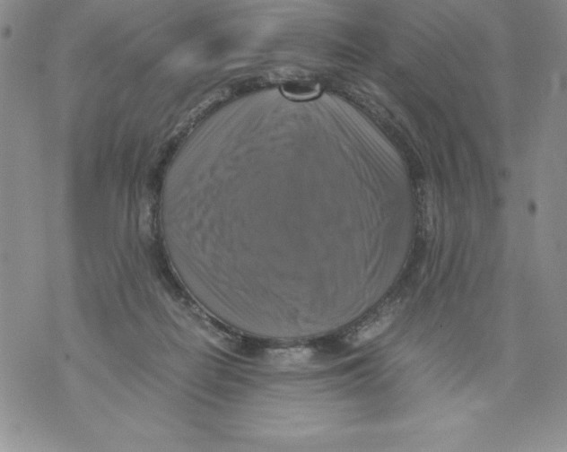 X0000071780266200607282245