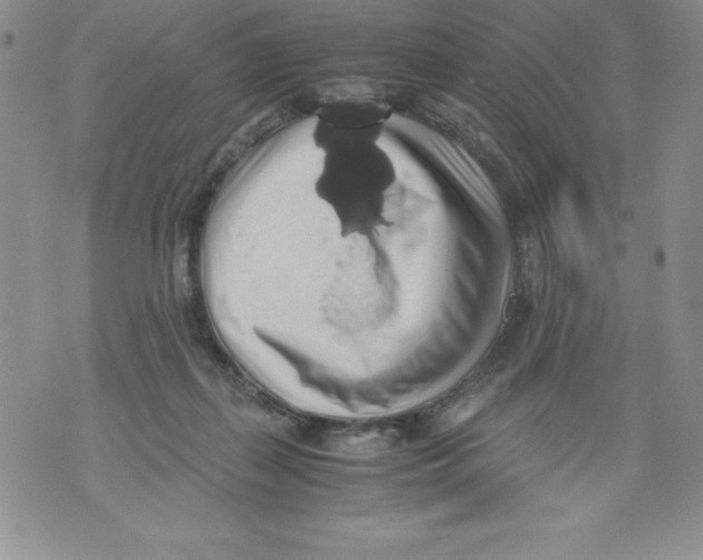 X0000071780267200607282245