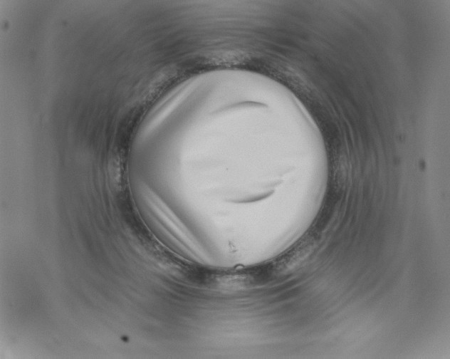 X0000071780268200607282245