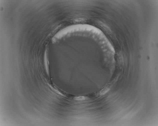 X0000071780269200607282245