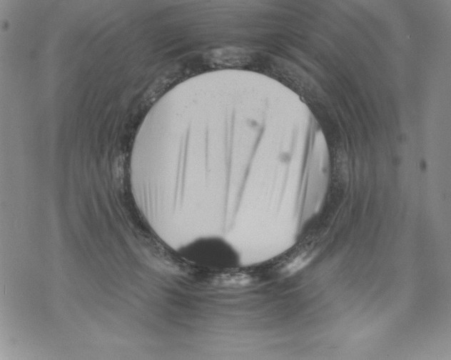 X0000071780271200607282245