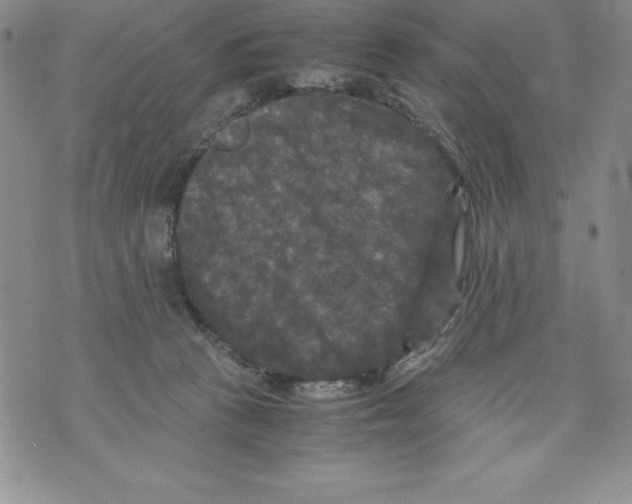 X0000071780273200607282245