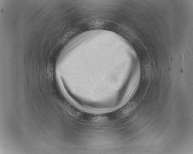 X0000071780274200607282245