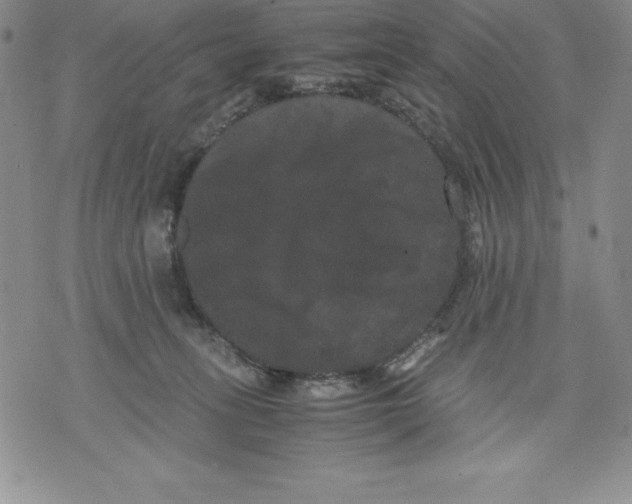 X0000071780275200607282245