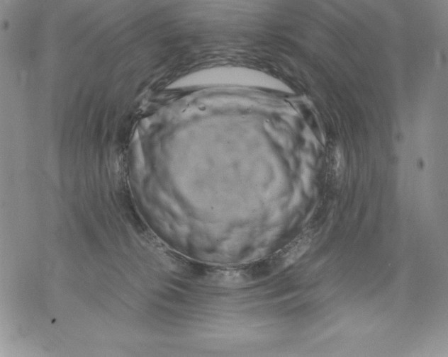 X0000071780276200607282245