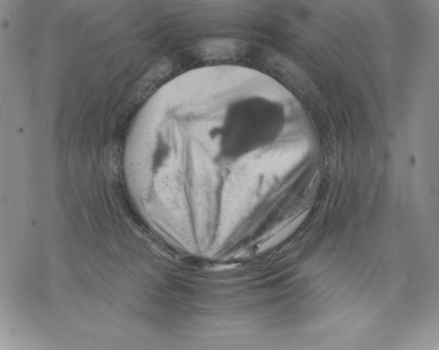 X0000071780277200607282245