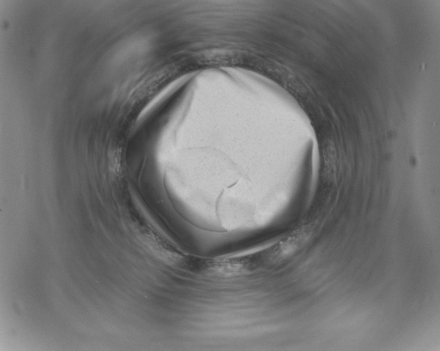 X0000071780278200607282245