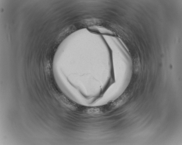 X0000071780279200607282245