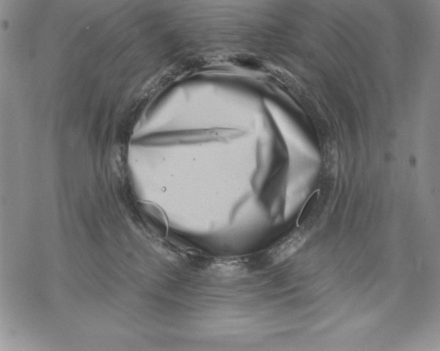 X0000071780280200607282245