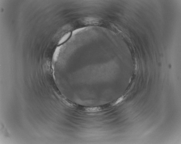 X0000071780281200607282245