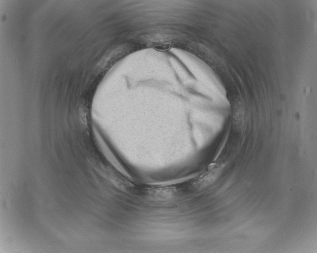 X0000071780282200607282245