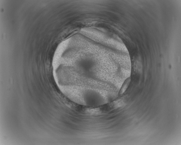 X0000071780283200607282245