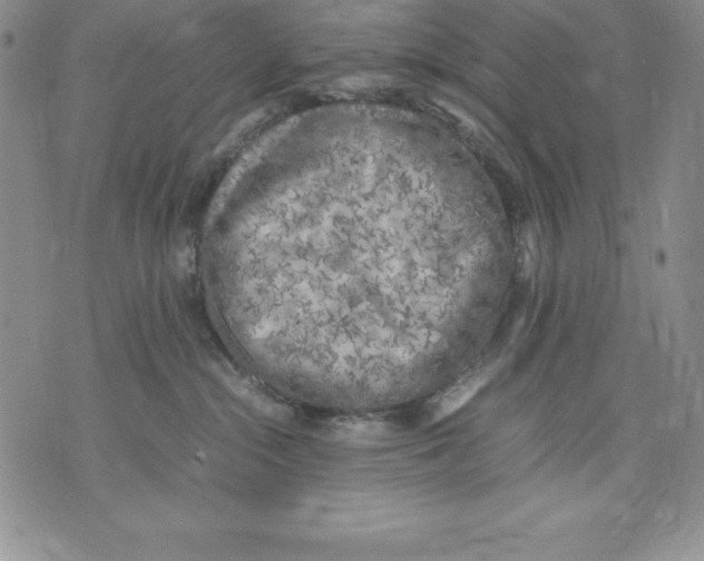 X0000071780284200607282245