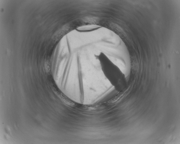 X0000071780285200607282245