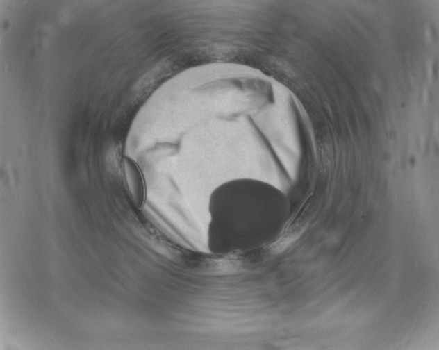 X0000071780286200607282246