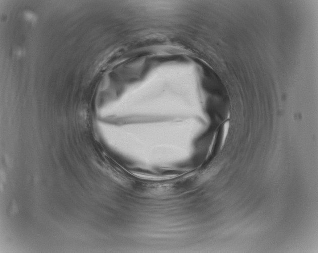 X0000071780288200607282246