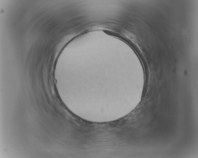 X0000071780289200607282245