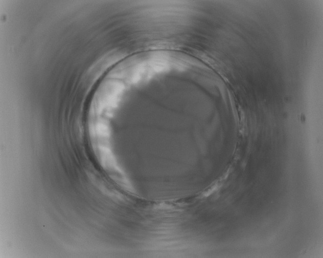 X0000071780290200607282245