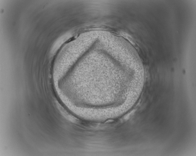 X0000071780293200607282245