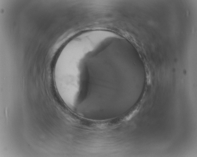 X0000071780295200607282245