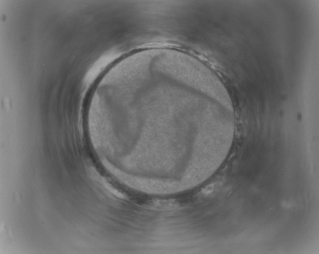 X0000071780296200607282245