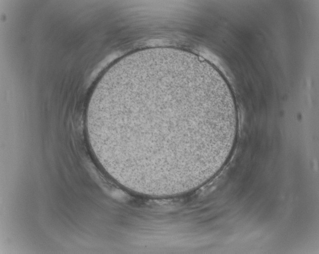 X0000071780297200607282245