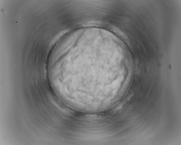 X0000071780298200607282245