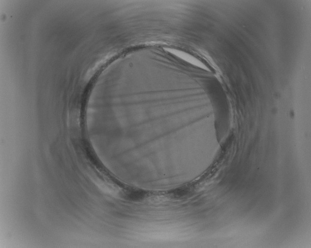 X0000071780299200607282245