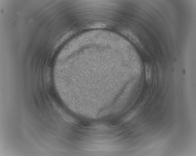 X0000071780300200607282245