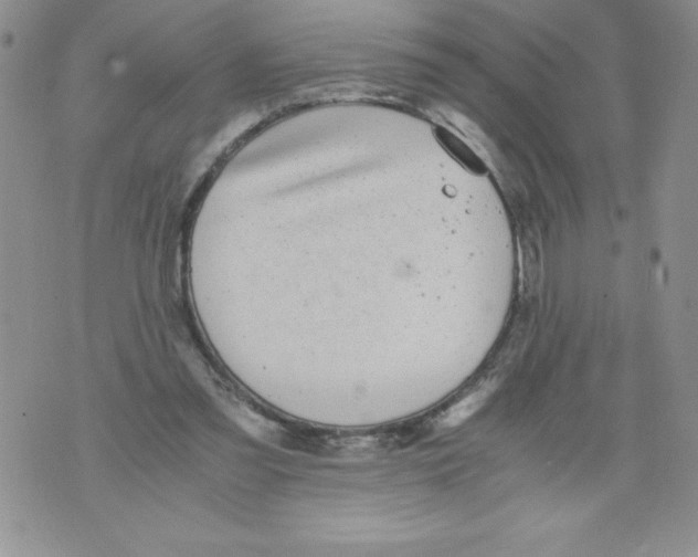 X0000071780301200607282245