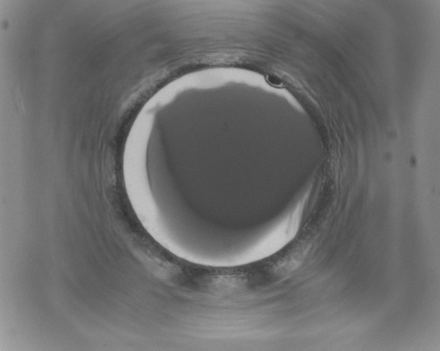 X0000071780303200607282245