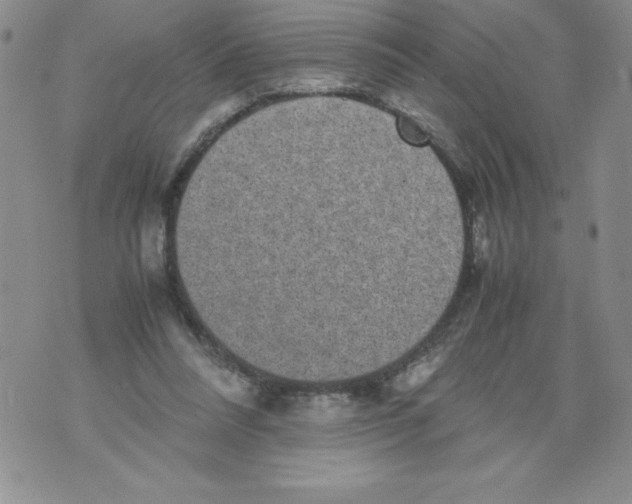 X0000071780304200607282245