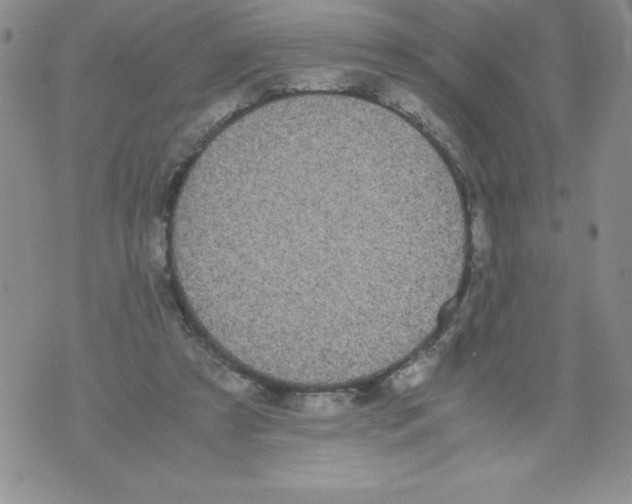 X0000071780305200607282245