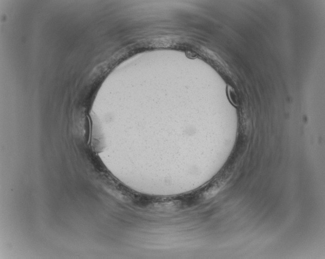 X0000071780307200607282244