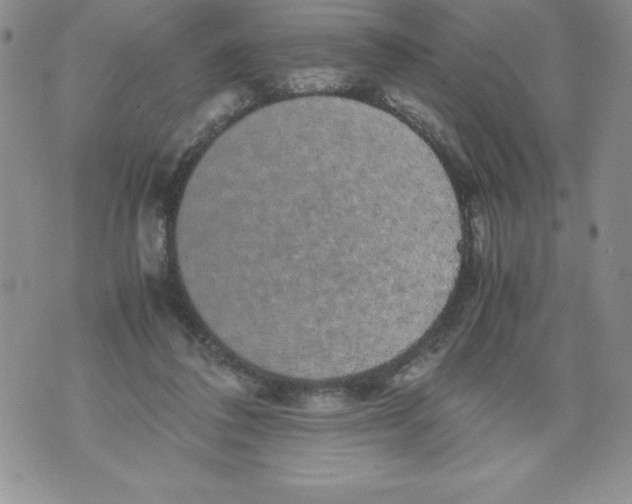 X0000071780308200607282244