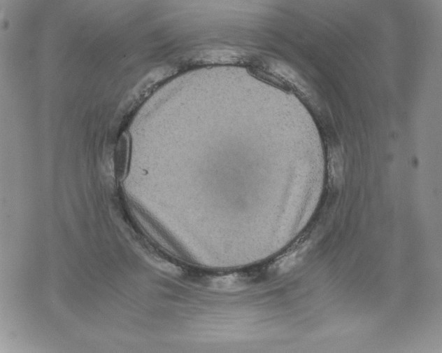 X0000071780309200607282244