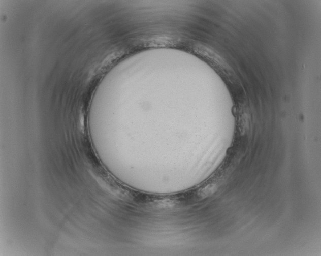 X0000071780310200607282244