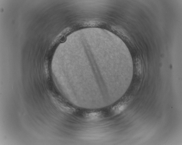 X0000071780312200607282244