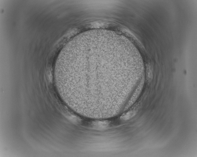 X0000071780313200607282244