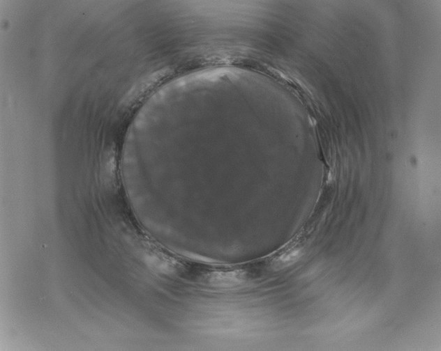 X0000071780314200607282244