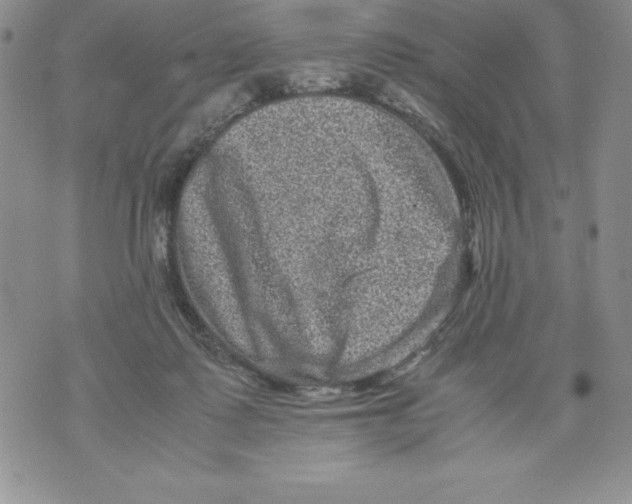 X0000071780315200607282244